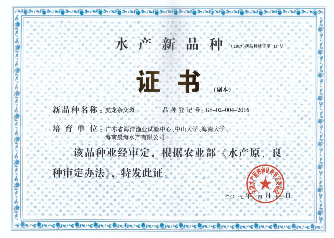 厲害了，我的“虎龍雜交斑”