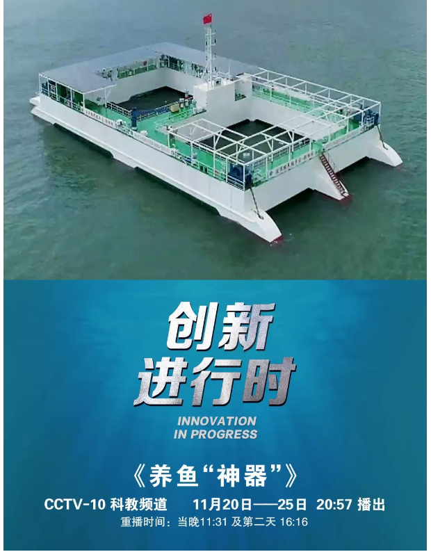 風(fēng)再猛、浪再大，都攔不住我養(yǎng)魚的雄心！